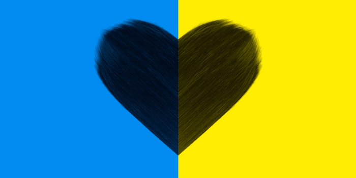 Le Court du mois - Mai